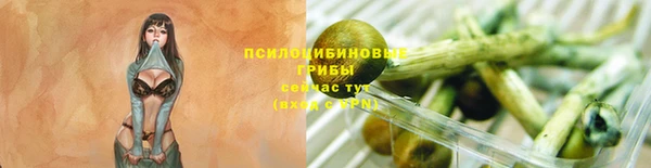 МДПВ Иннополис