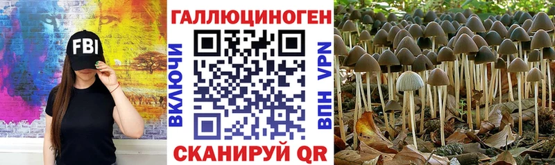 Псилоцибиновые грибы Psilocybe  Купить где  Вятские Поляны 