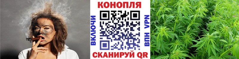 Купить  Вятские Поляны  Бошки марихуана планчик 